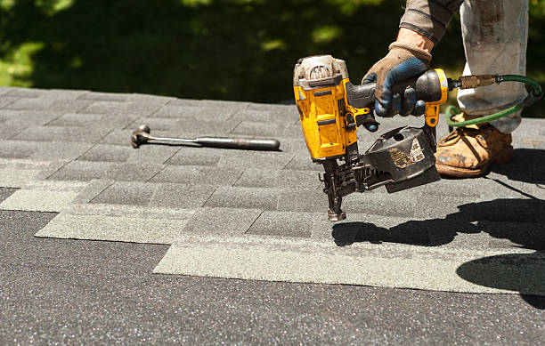 Best Roof Gutter Cleaning  in Ellsworth, WI